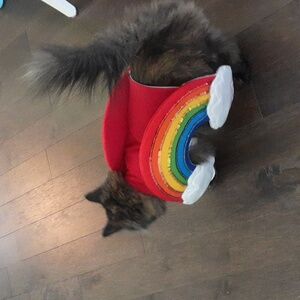 Cat/Dog Pet Sparkly Rainbow & Clouds Costume 🍎
